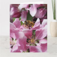 Honey Bee on Blossom with Quote