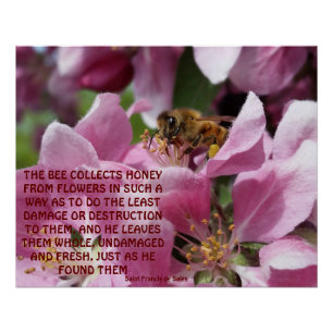 Honey Bee on Crabapple Blossom with Quote Poster