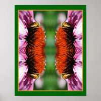 Honey Bee On Echinacea Daisy Flower Abstract 