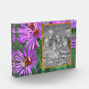 Honey Bee On Pink Aster Flower Add Your Own  Photo Block