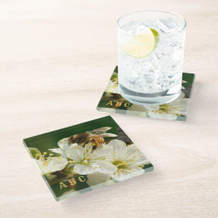 Honey Bee on White Plum Blossom Glass Coaster