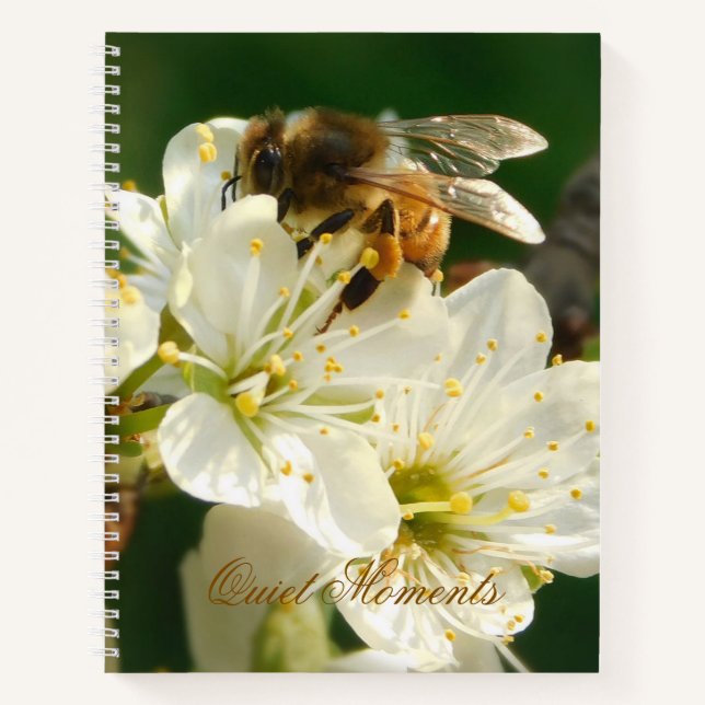 Honey Bee on White Plum Blossom Journal (Front)