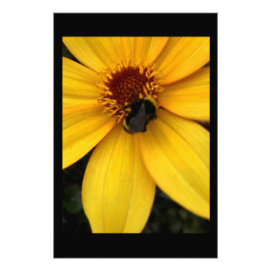 Honey bee photo print