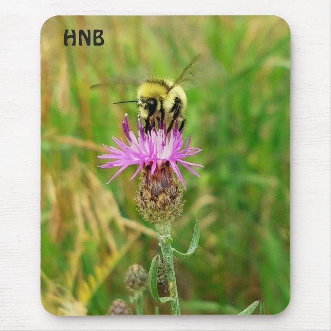 Honey Bee Pollinating Purple Flower Blossom Mouse Pad (Front)
