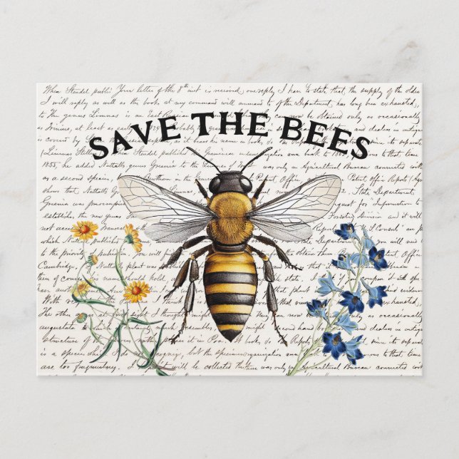 Honey Bee Save the Bees Script Flowers Postcard (Front)