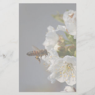 Honey Bee Stationery