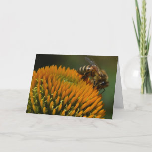 Honey Bee sur la carte de voeux du Conflower