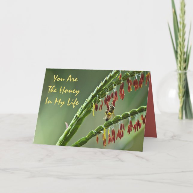 Honey Bee Valentine Card (Front)