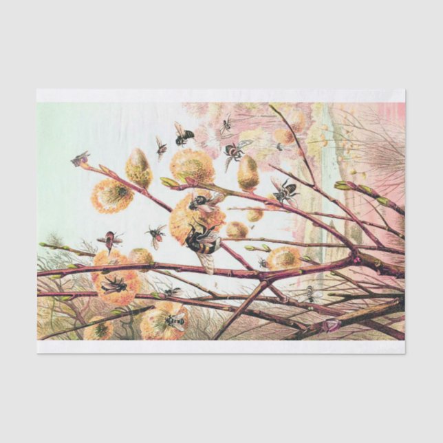 Honey bee vintage illustration wrapping paper (Front)