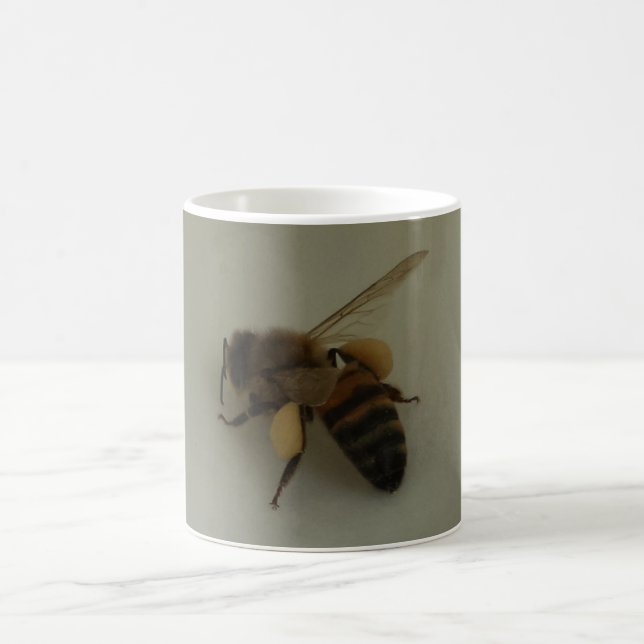 Honey Bee White Coffee Mug (Center)