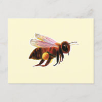 Honey Bee with its Pollen Baskets Illustration