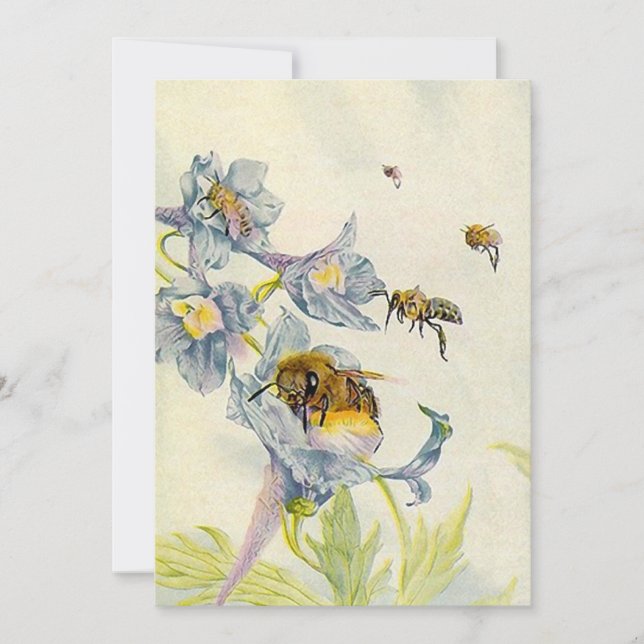 Honey Bees & Morning Glory Flowers Invitations Any (Front)