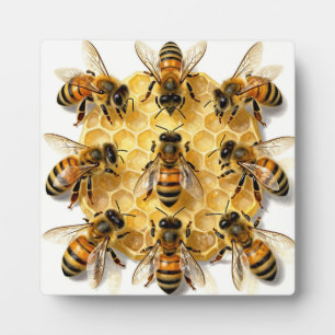 Honey Bees on Hexagonal Honeycomb Circle Plaque