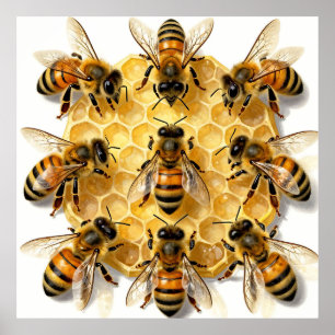 Honey Bees on Hexagonal Honeycomb Circle Poster