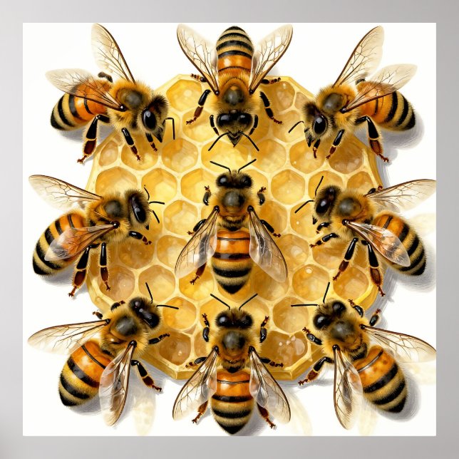 Honey Bees on Hexagonal Honeycomb Circle Poster (Front)