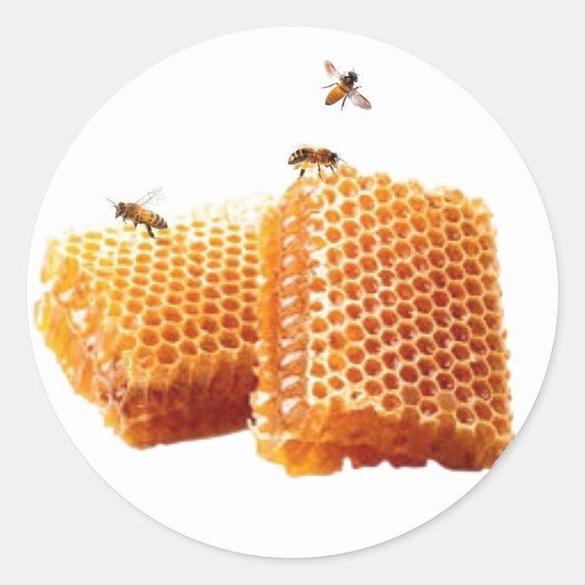 Honey Bees on Honeycomb Envelope Seals (Front)
