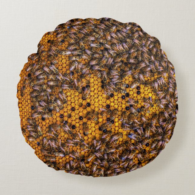 HONEY BEES   THROW PILLOW (Front)
