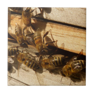 Honey Bees Tile