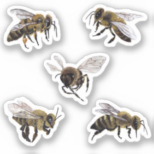 Honey Bees Vinyl Stickers