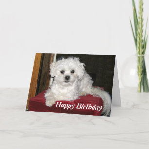 Honey Birthday Card