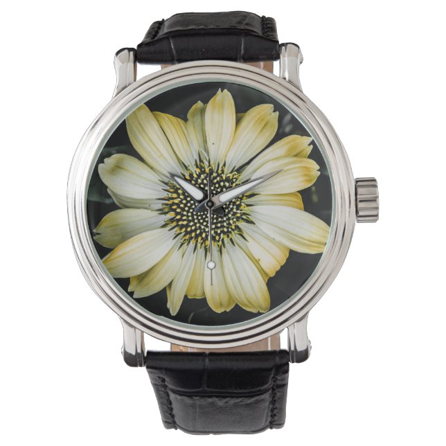 Honey Blossom Yellow Coneflower Watch (Front)