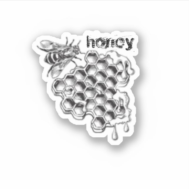 Honey drawing  (Front)