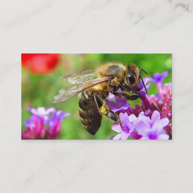 Honey for Sale Business Card (Front)