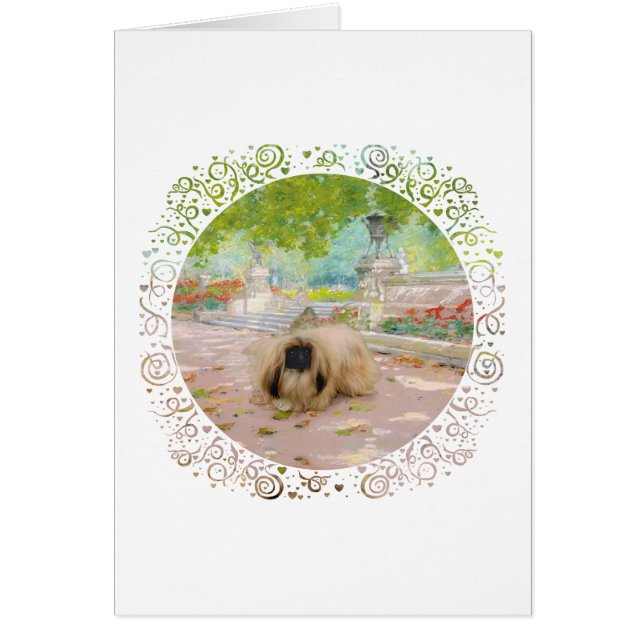 Honey Pekingese (Devant)