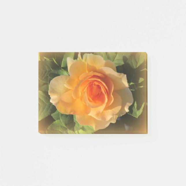 Honey Perfume Rose Post-it Notes (Front)