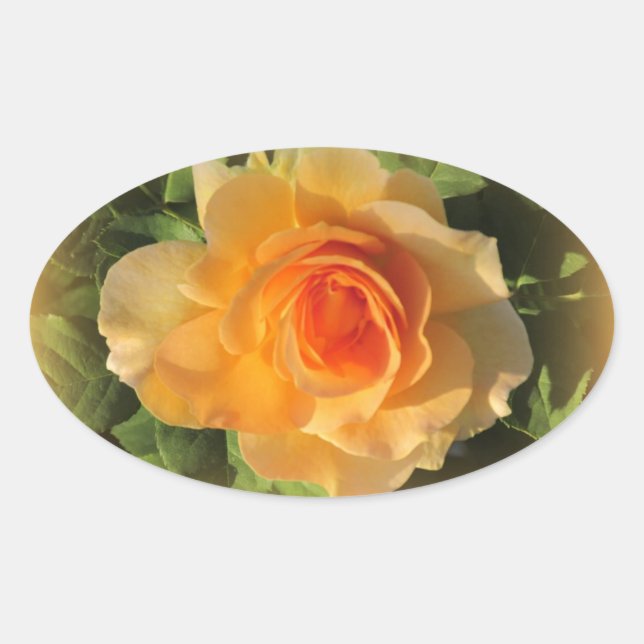 Honey Perfume Rose Stickers (Front)