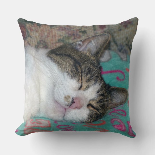 Honey Sleeping Throw Pillow (Front)