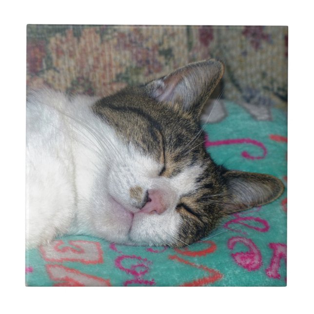 Honey Sleeping Tile (Front)