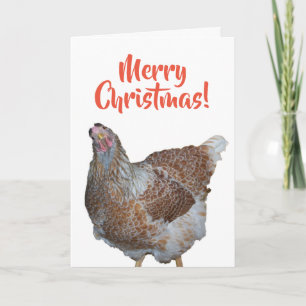 Honey the Blue Laced Wyandotte Hen Merry Christmas Holiday Card