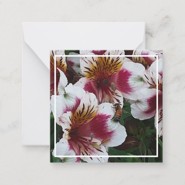 Honeybee and Alstromerias  Card (Front)