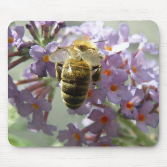 Honeybee and Buddleia Flowers Mousepad (Front)
