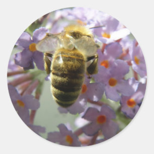 Honeybee and Buddleia Flowers Stickers