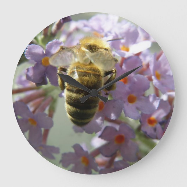 Honeybee and Buddleia Flowers Wall Clock (Front)
