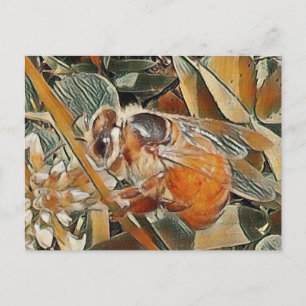 HONEYBEE EN CLOVER - CARTE POSTALE