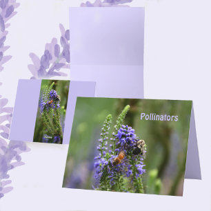 Honeybee et Bumblebee carte blanche