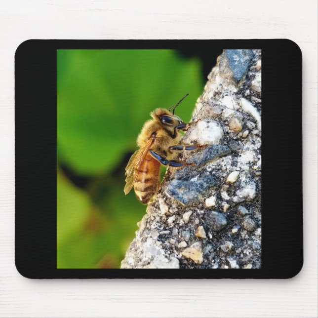 Honeybee Mousepad (Front)
