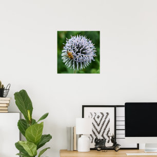 Honeybee on Globe Thistle Floral Poster