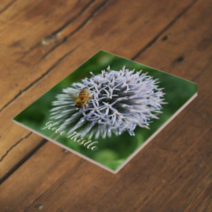 Honeybee on Globe Thistle Floral Tile