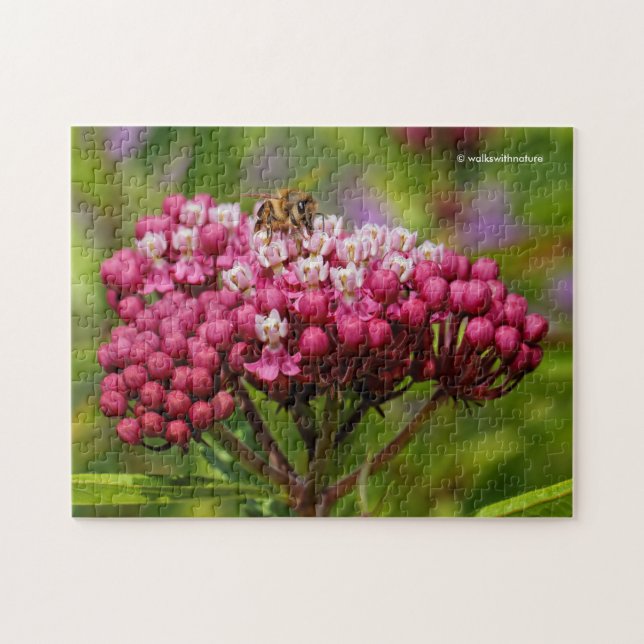Honeybee on Narrowleaf Milkweed Jigsaw Puzzle (Horizontal)
