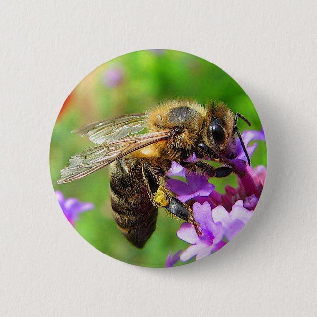 Honeybee on Verbena 2 Inch Round Button (Front)