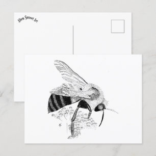 Honeybee Postcard