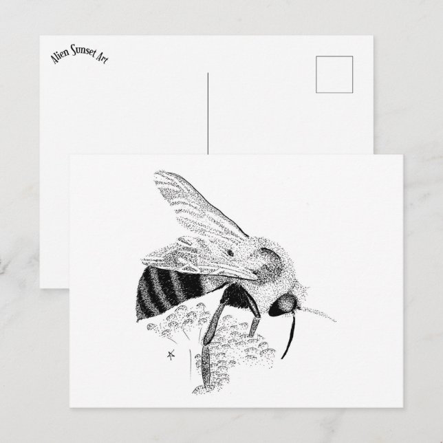 Honeybee Postcard (Front/Back)