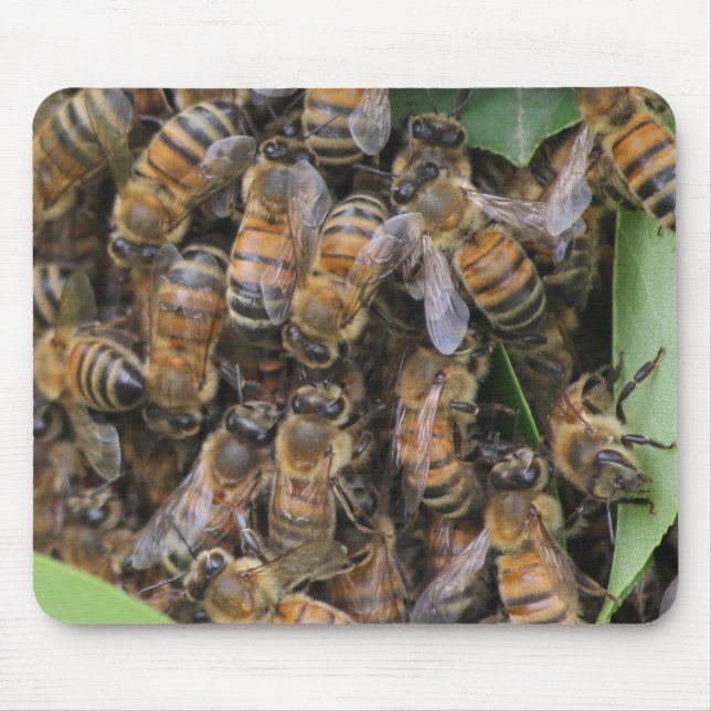 Honeybee Swarm Mouse Pad (Front)