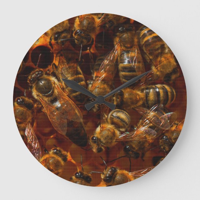 HONEYBEES 7  BELT BUCKLE LARGE CLOCK (Front)