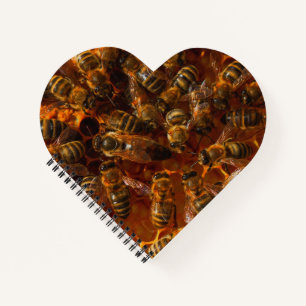 HONEYBEES 7 CARNETS