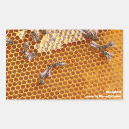 Honeybees in a hive sticker
